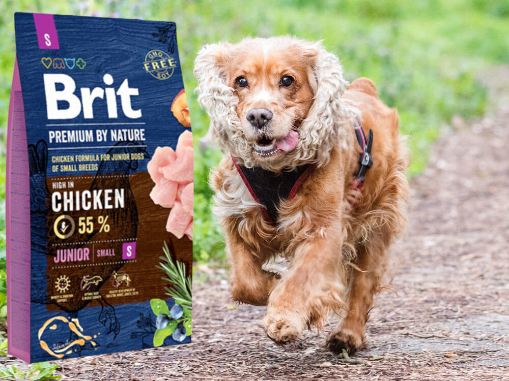 Karma dla psa BRIT Premium by Nature Junior Kurczak 3 kg zdrowie mobilnosc odpornosc kondycja