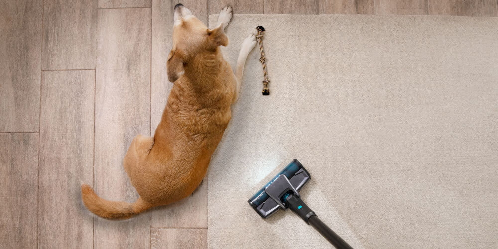 Odkurzacz CECOTEC Conga Rockstar 2500 X-treme praca na mokro