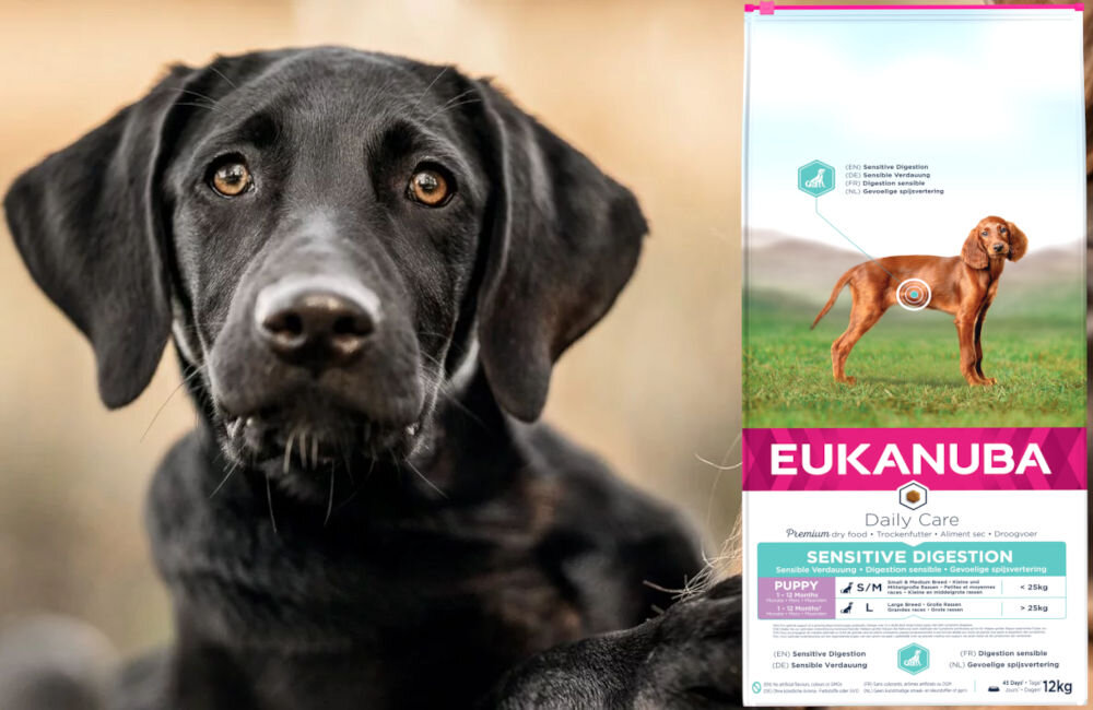 Karma dla psa EUKANUBA Daily Care Puppy Sensitive Digestion Kurczak 12 kg dawkowanie analiza sklad