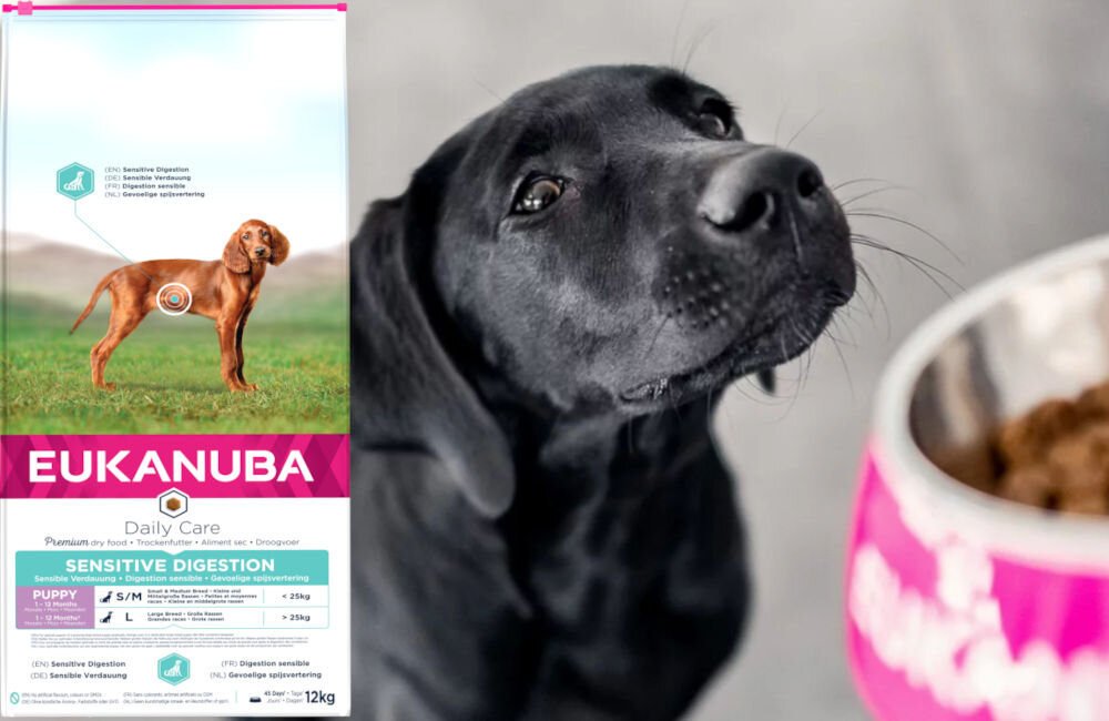 Karma dla psa EUKANUBA Daily Care Puppy Sensitive Digestion Kurczak 12 kg dawkowanie analiza sklad