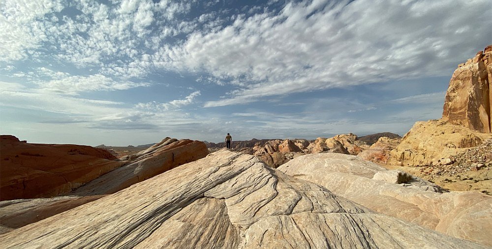 SMARTFON APPLE IPHONE 11 obiektyw rozdzielczość matryca