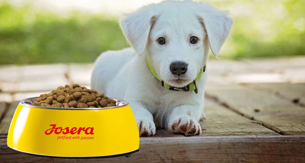 Karma dla psa JOSERA JosiDog Junior Sensitive Drób 900g naturalne składniki wielkość krokietów