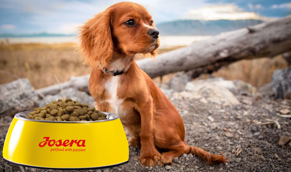 Karma dla psa JOSERA JosiDog Junior Sensitive Drób 900g witaminy pierwiastki aminokwasy