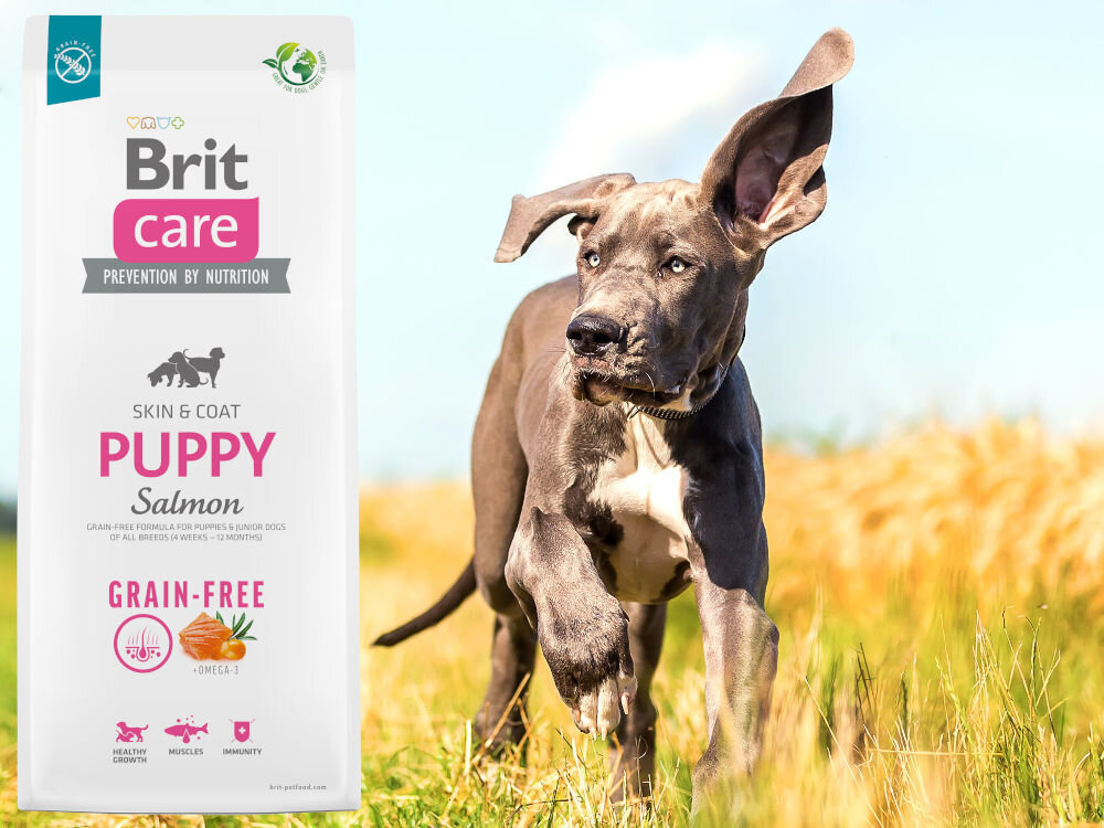 Karma dla psa BRIT Care Grain-Free Puppy Łosoś 3 kg witaminy zdrowie