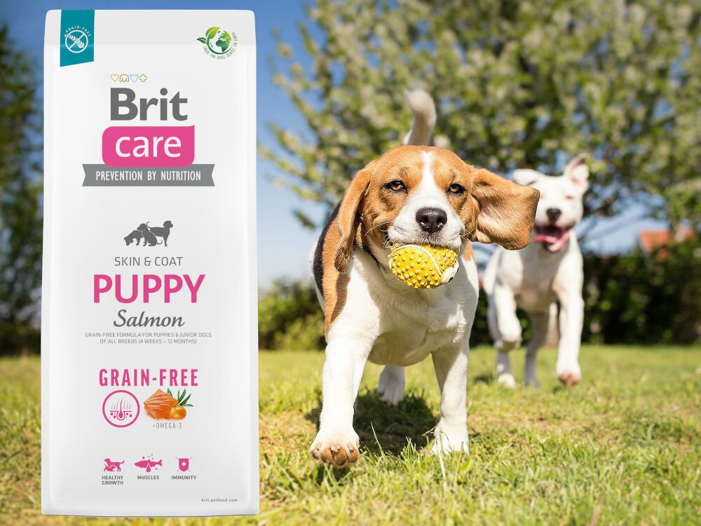 Karma dla psa BRIT Care Grain-Free Puppy Łosoś 3 kg sklad zywienie