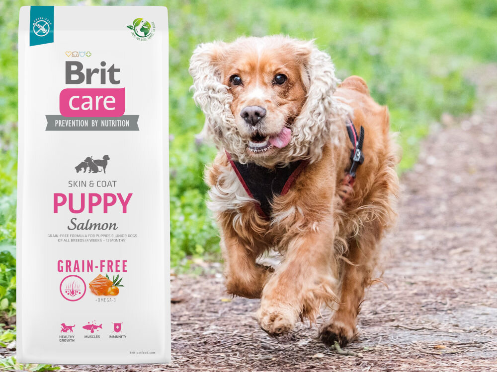 Karma dla psa BRIT Care Grain-Free Puppy Łosoś 3 kg dodatki analiza