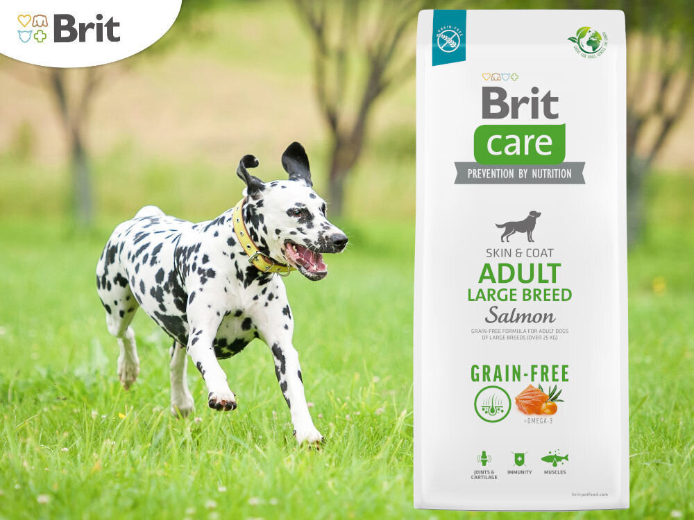 Karma dla psa BRIT Care Dog Grain Free Adult Large Łosoś i ziemniaki 12 kg witaminy zdrowie