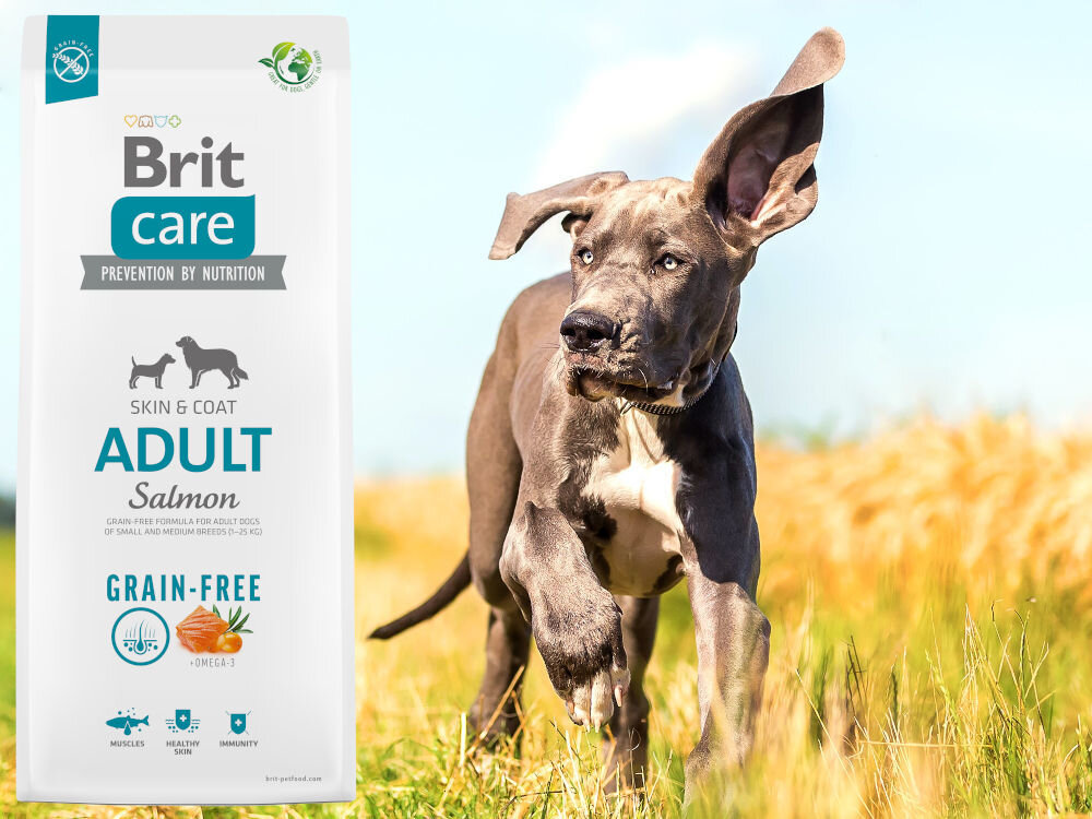 Karma dla psa BRIT Grain-Free Adult Łosoś 3 kg witaminy zdrowie
