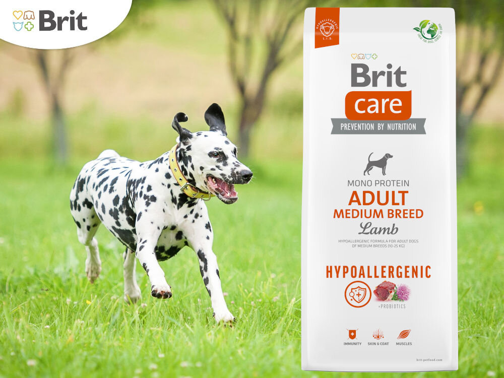 Karma dla psa BRIT Care Hypoallergenic Medium Jagnięcina z ryżem 1 kg witaminy zdrowie