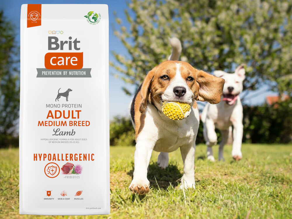 Karma dla psa BRIT Care Hypoallergenic Medium Jagnięcina z ryżem 1 kg sklad zywienie