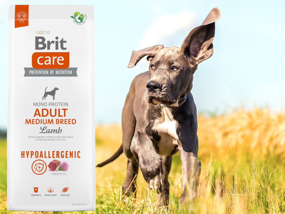 Karma dla psa BRIT Care Hypoallergenic Medium Jagnięcina z ryżem 1 kg dodatki analiza