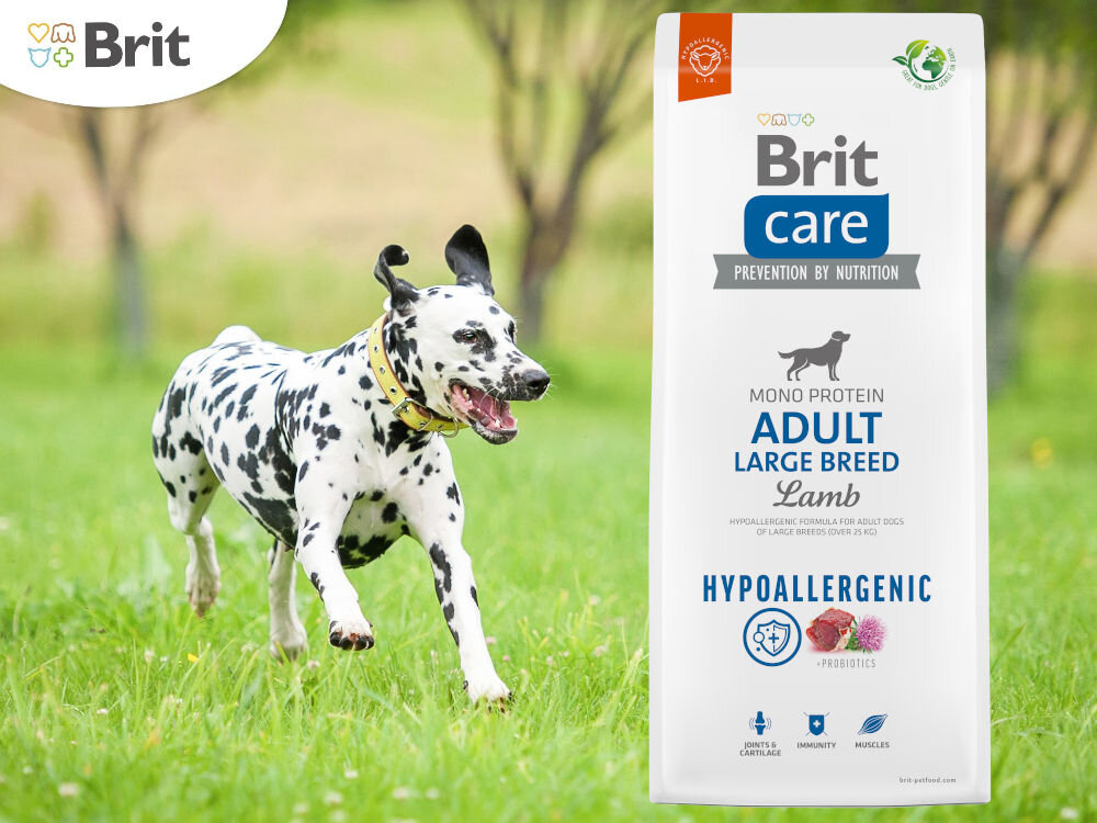 Корм для собак BRIT Care Гіпоалергенний з ягнятиною 12 кг вітаміни та здоров'я