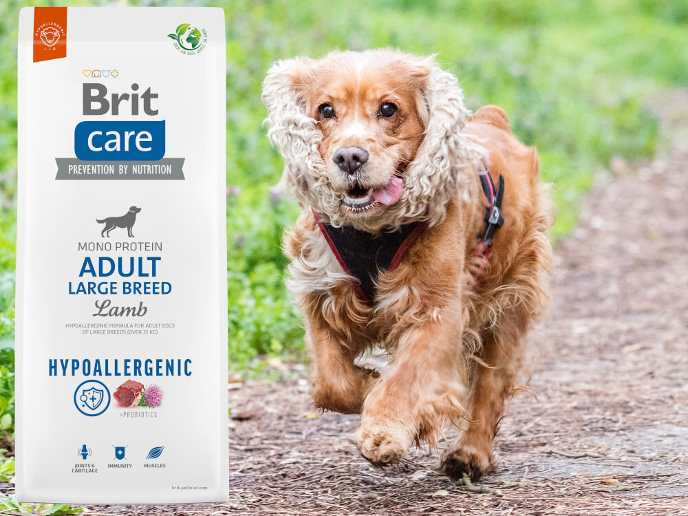 Корм для собак BRIT Care Hypoallergenic Lamb 12 кг, аналіз на добавки
