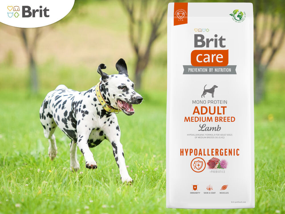 Karma dla psa BRIT Care Hypoallergenic Junior Jagnięcina z ryżem 1 kg witaminy zdrowie