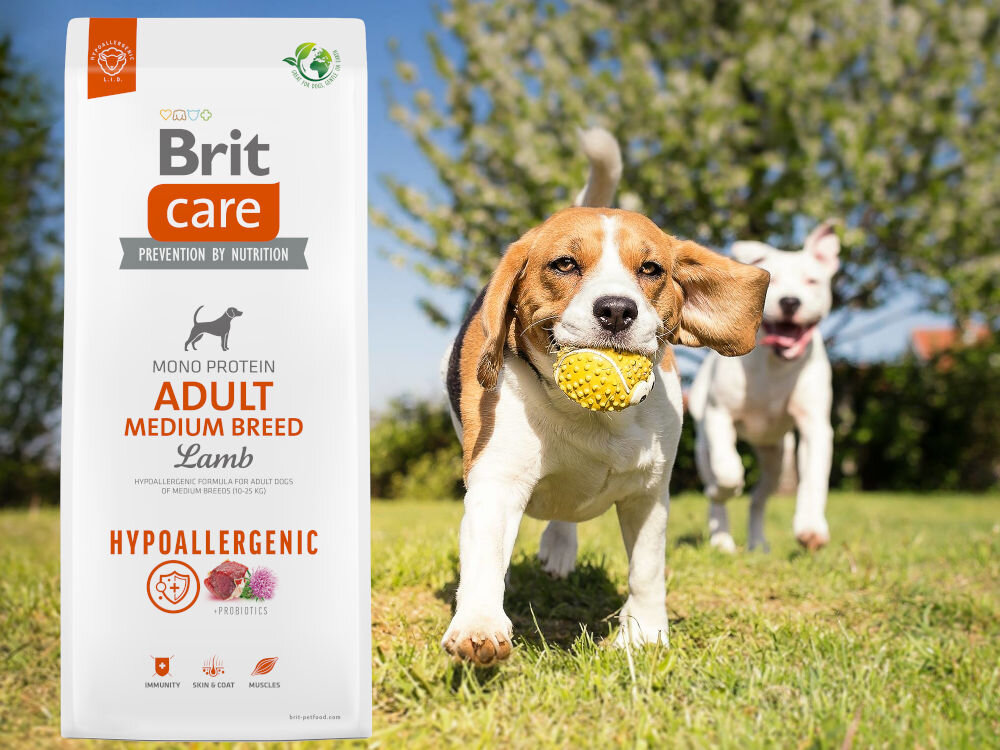 Karma dla psa BRIT Care Hypoallergenic Junior Jagnięcina z ryżem 1 kg sklad zywienie