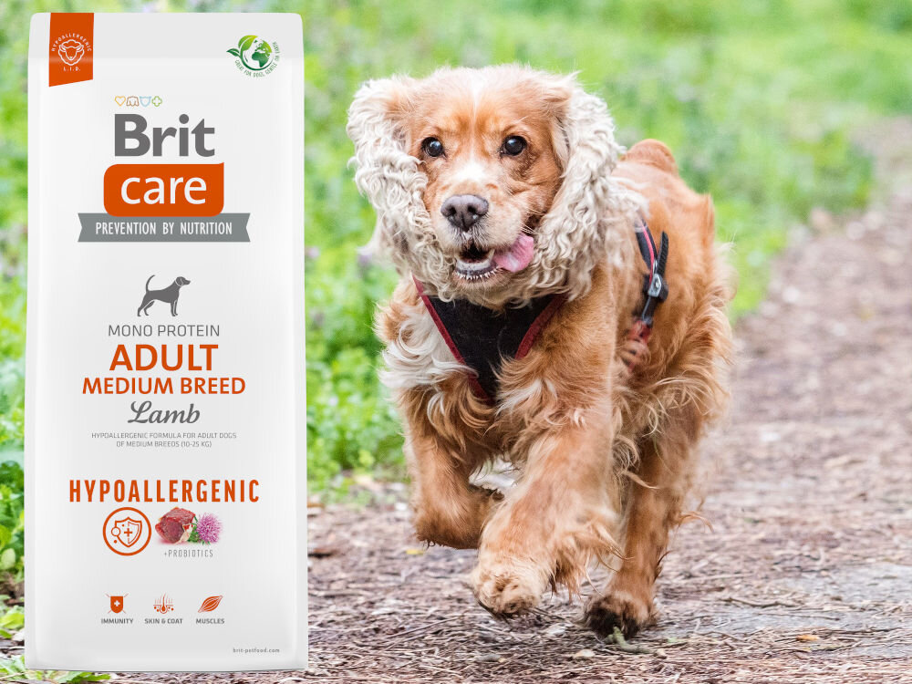 Karma dla psa BRIT Care Hypoallergenic Junior Jagnięcina z ryżem 1 kg dodatki analiza