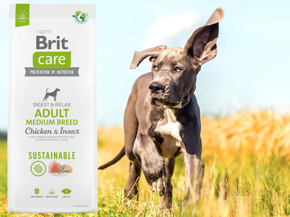 Karma dla psa BRIT CARE Dog Sustainable Medium Kurczak i owady 12 kg witaminy zdrowie