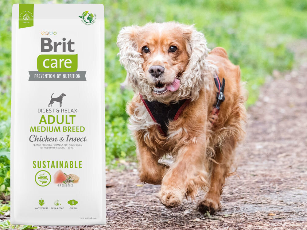 Karma dla psa BRIT CARE Dog Sustainable Medium Kurczak i owady 12 kg dodatki analiza