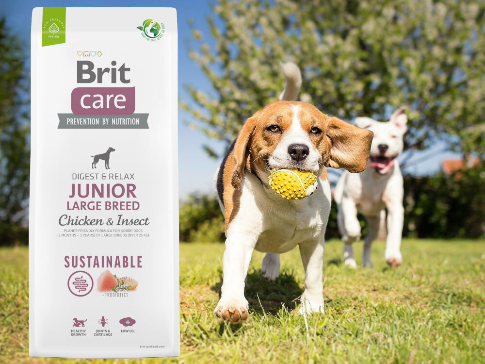 Karma dla psa BRIT Care Dog Sustainable Junior Large Breed Kurczak i owady 12 kg witaminy zdrowie