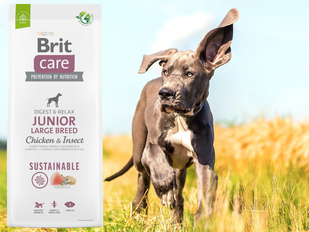 Karma dla psa BRIT Care Dog Sustainable Junior Large Breed Kurczak i owady 12 kg sklad zywienie