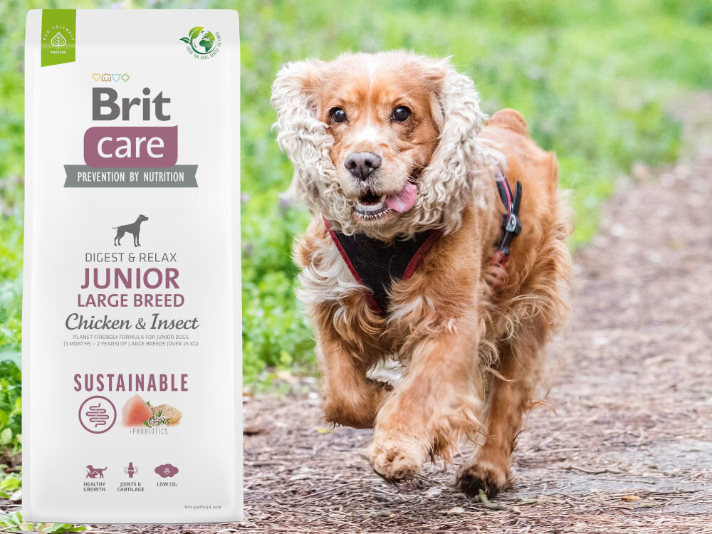 Karma dla psa BRIT Care Dog Sustainable Junior Large Breed Kurczak i owady 12 kg dodatki analiza
