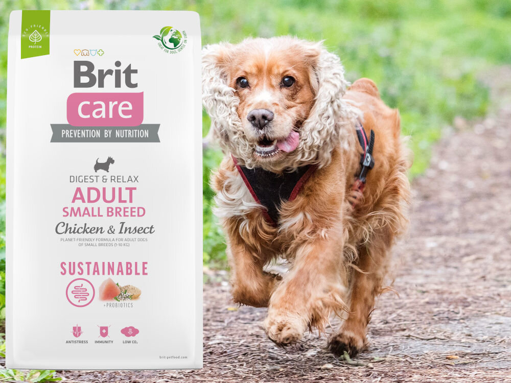 Karma dla psa BRIT Care Adult Small Breed Kurczak i owady 7 kg witaminy zdrowie