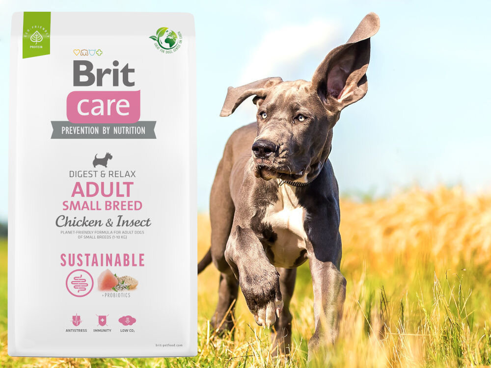 Karma dla psa BRIT Care Adult Small Breed Kurczak i owady 7 kg dodatki analiza
