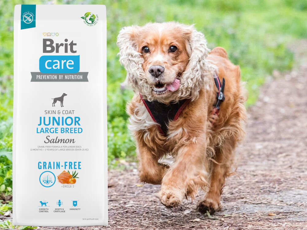 Karma dla psa BRIT Grain-Free Junior Large Łosoś 3 kg dodatki analiza