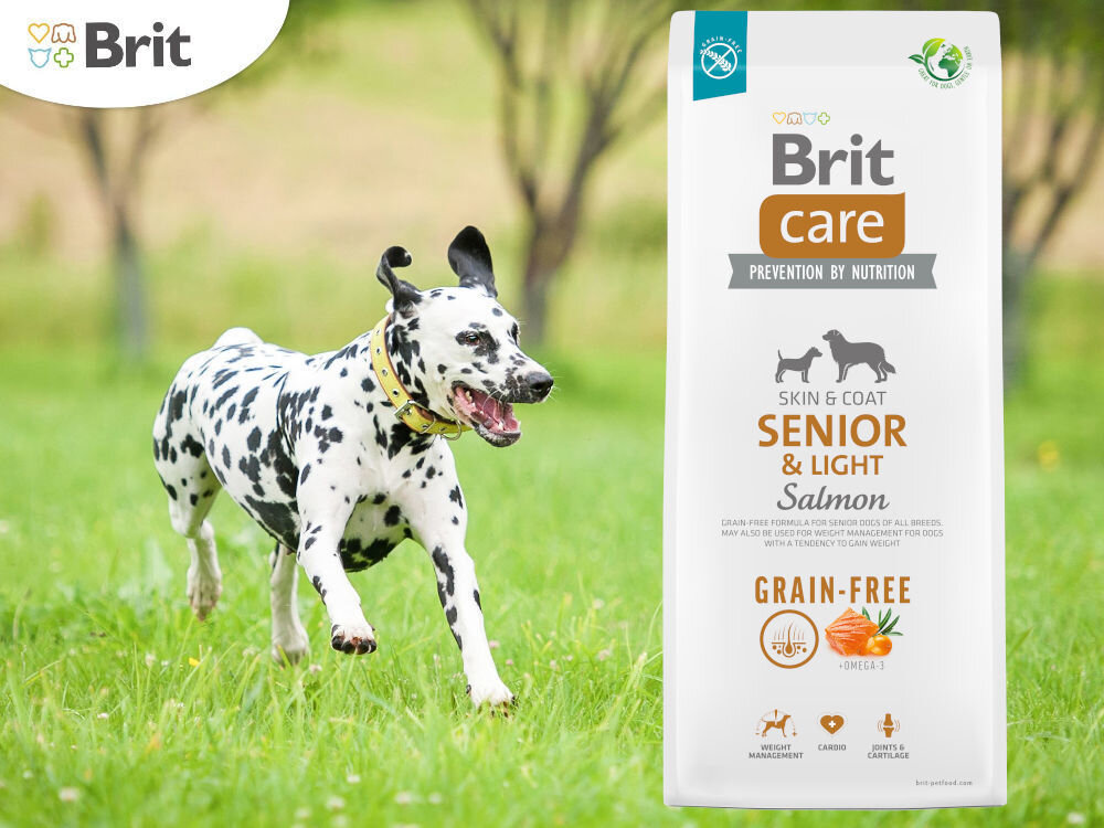 Karma dla psa BRIT Care Dog Grain-Free Senior & Light Salmon Łosoś z ziemniakami 12 kg witaminy zdrowie