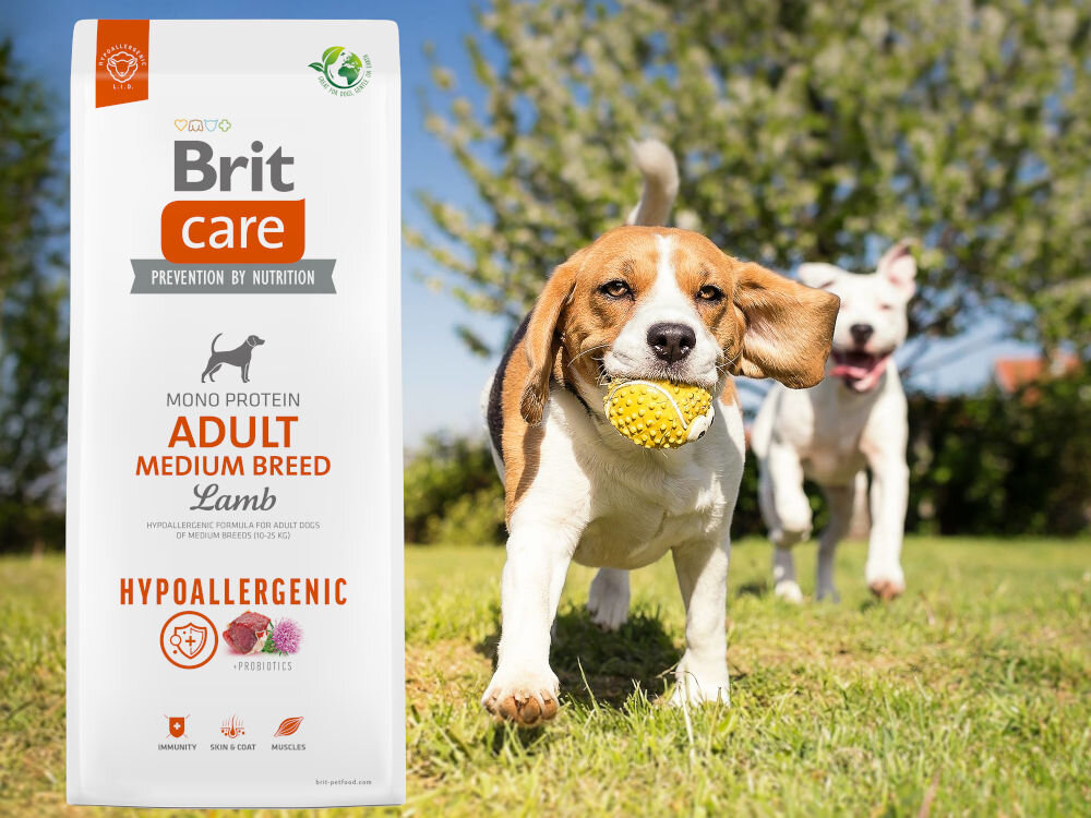 Karma dla psa BRIT Hypoallergenic Jagnięcina z Ryżem 12 kg sklad zywienie
