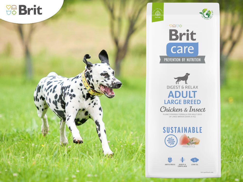 Karma dla psa BRIT Care Adult Large Breed Kurczak i Owady 12 kg witaminy zdrowie