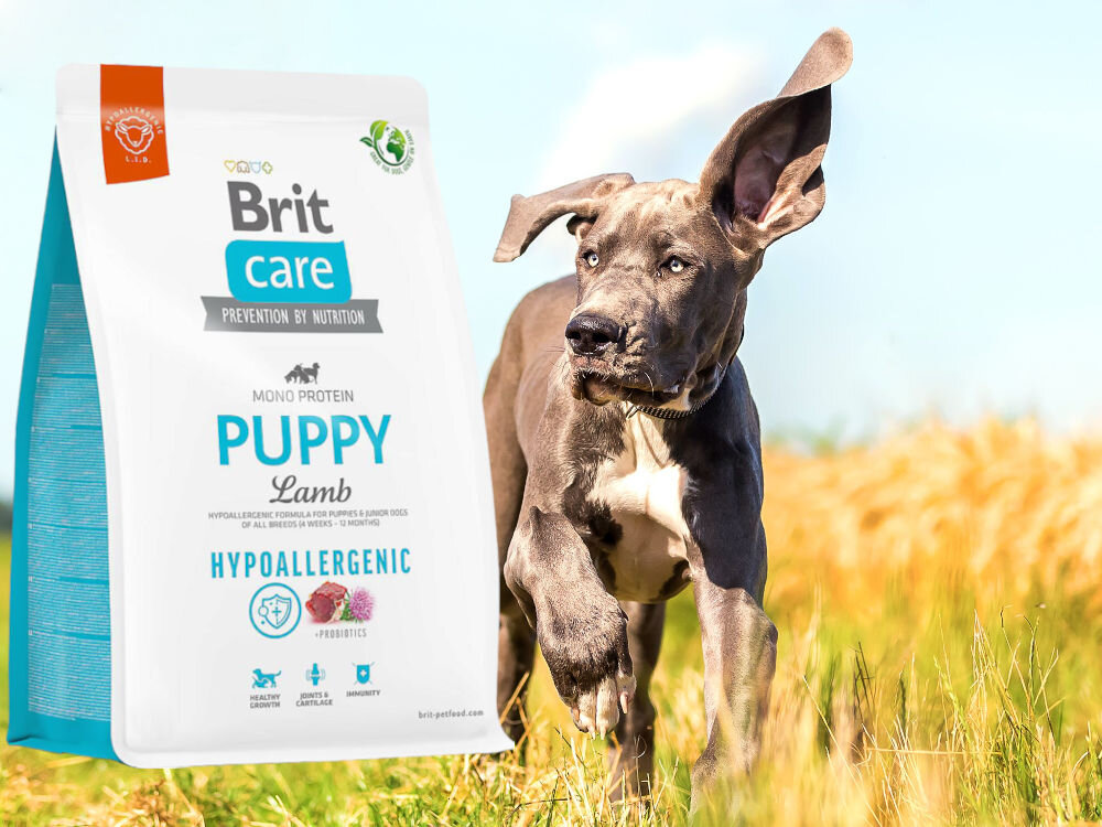 Karma dla psa BRIT Care Hypoallergenic Puppy Jagnięcina z ryżem 1 kg witaminy zdrowie