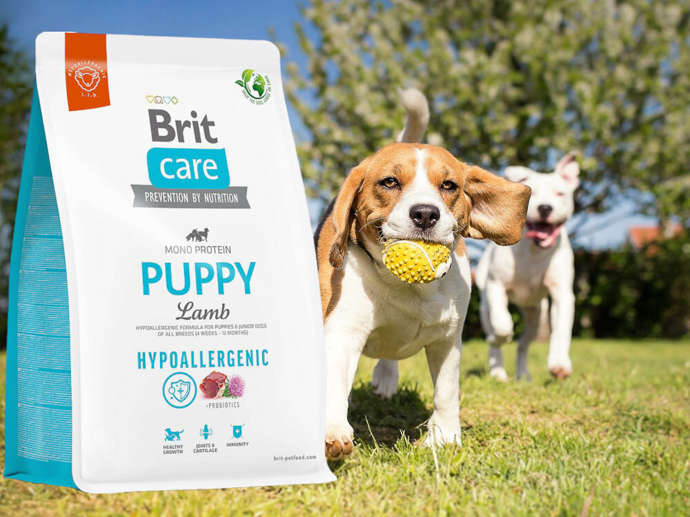 Karma dla psa BRIT Care Hypoallergenic Puppy Jagnięcina z ryżem 1 kg sklad zywienie