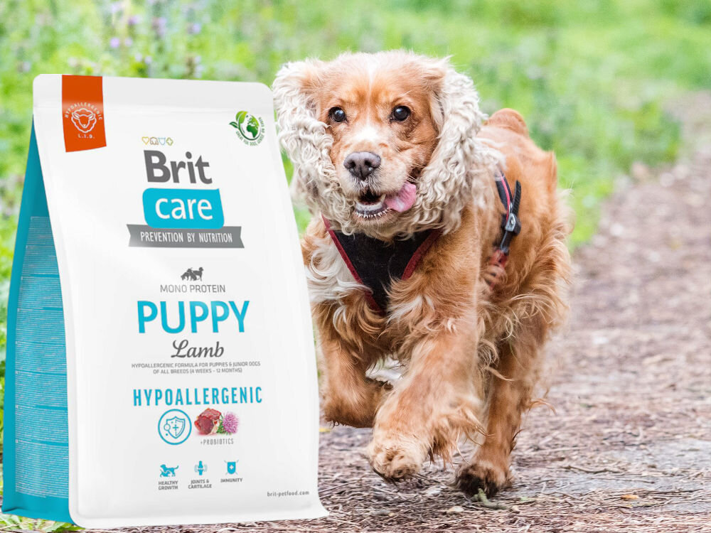Karma dla psa BRIT Care Hypoallergenic Puppy Jagnięcina z ryżem 1 kg dodatki analiza