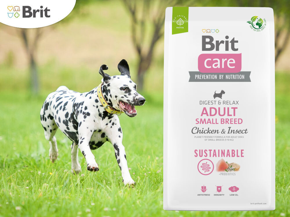Karma dla psa BRIT CARE Sustainable Small Kurczak i owady 1 kg sklad zywienie