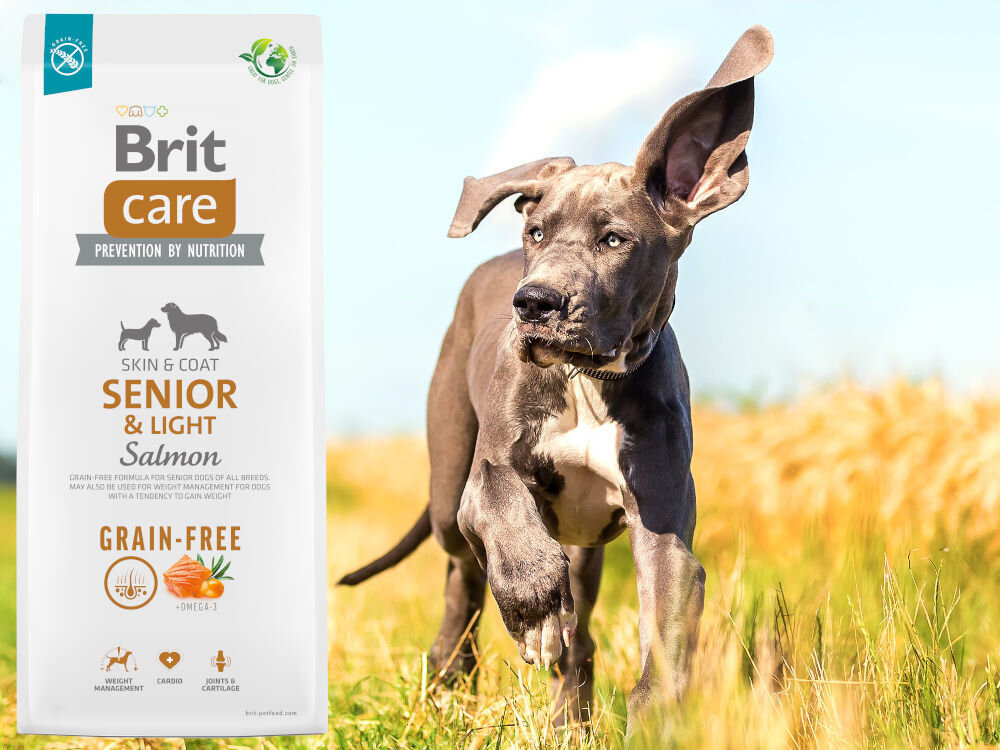 Karma dla psa BRIT CARE Dog Grain-Free Senior & Light Łosoś i ziemniak 1 kg sklad zywienie