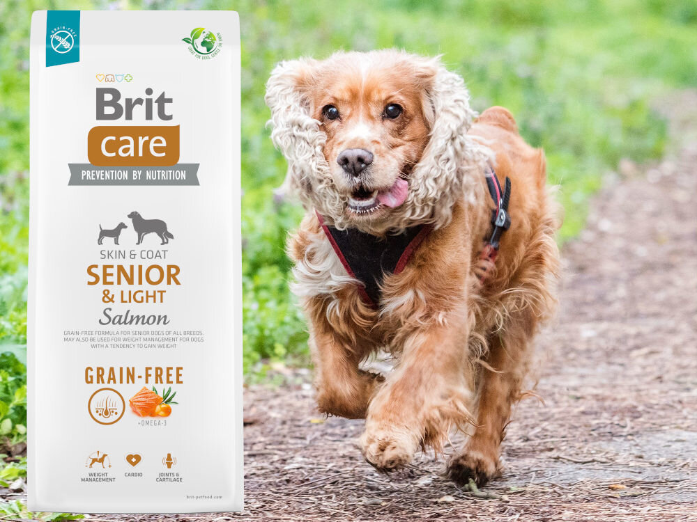 Karma dla psa BRIT CARE Dog Grain-Free Senior & Light Łosoś i ziemniak 1 kg dodatki analiza