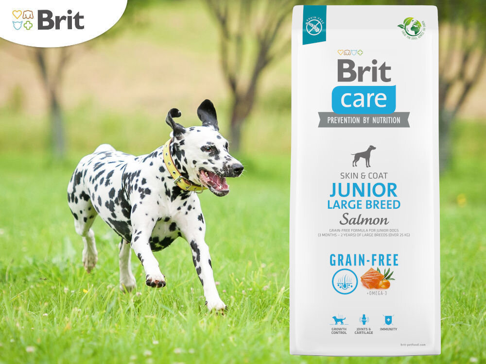 Karma dla psa BRIT CARE Dog Grain-Free Junior Large Breed Łosoś i ziemniaki 1 kg witaminy zdrowie