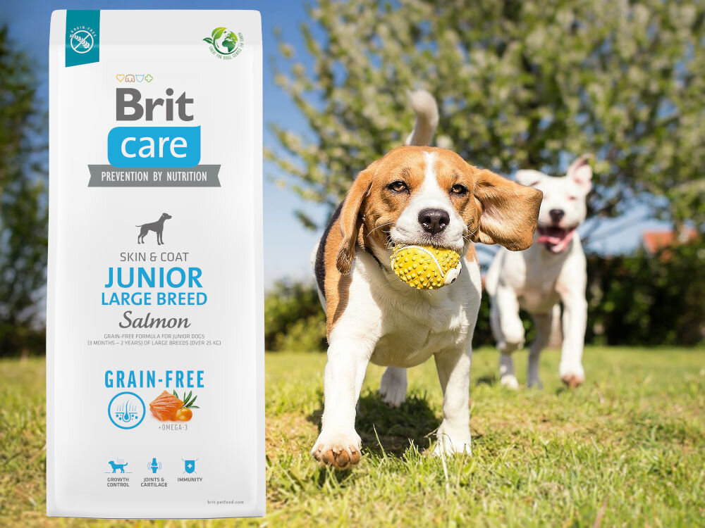 Karma dla psa BRIT CARE Dog Grain-Free Junior Large Breed Łosoś i ziemniaki 1 kg sklad zywienie