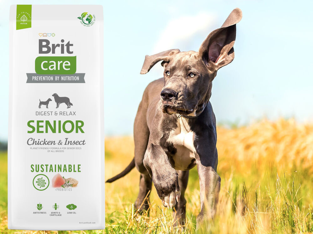 Karma dla psa BRIT CARE Dog Sustainable Senior Kurczak i owady 12 kg sklad zywienie