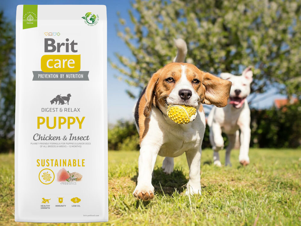 Karma dla psa BRIT CARE Dog Sustainable Puppy Kurczak i owady 12 kg witaminy zdrowie