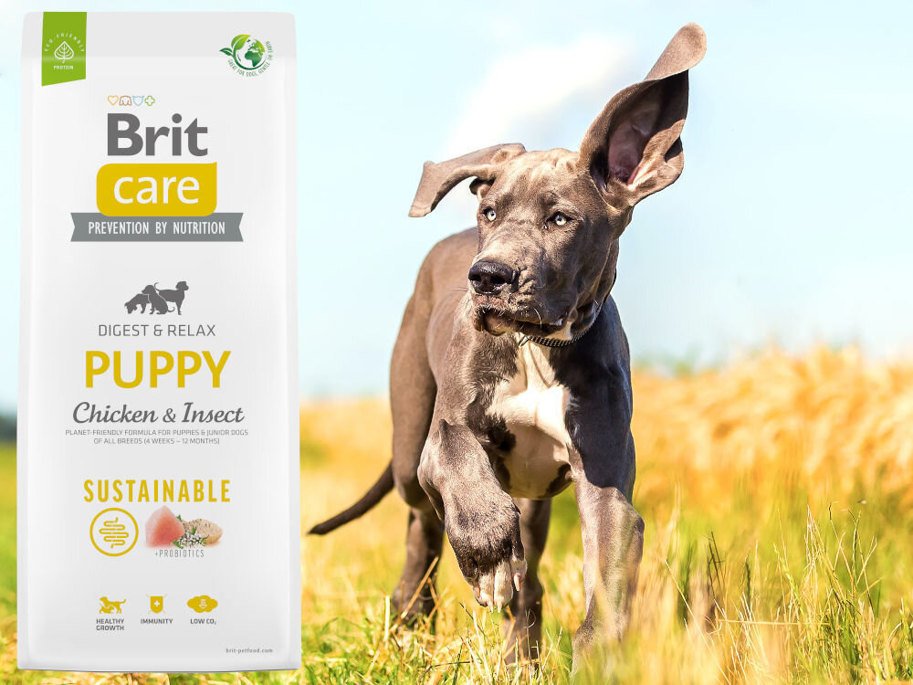 Karma dla psa BRIT CARE Dog Sustainable Puppy Kurczak i owady 12 kg sklad zywienie