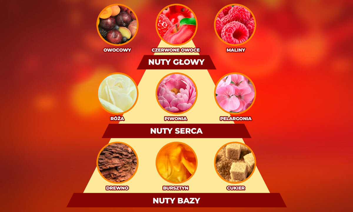 Wkład do elektrycznego odświeżacza powietrza AIR WICK Musujące Rosé z maliną 19 ml piramida zapachowa