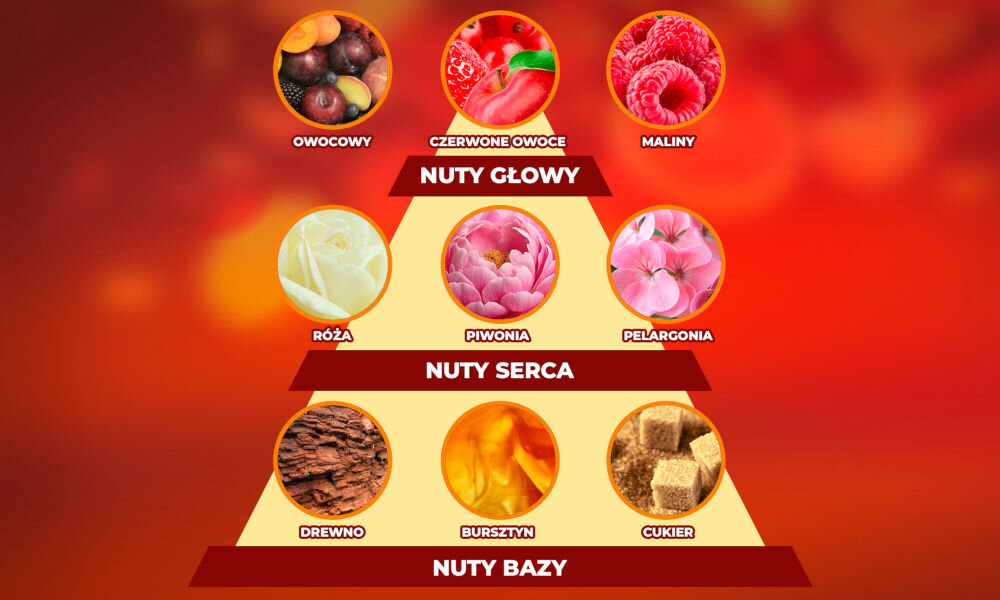 Grafika przedstawia piramidę zapachową z trzema poziomami: Nuty Głowy (owocowy, czerwone owoce, maliny), Nuty Serca (róża, piwonia, pelargonia) i Nuty Bazy (drewno, bursztyn, cukier). Każdy poziom zawiera zdjęcia i podpisy odpowiadające poszczególnym nutom zapachowym.