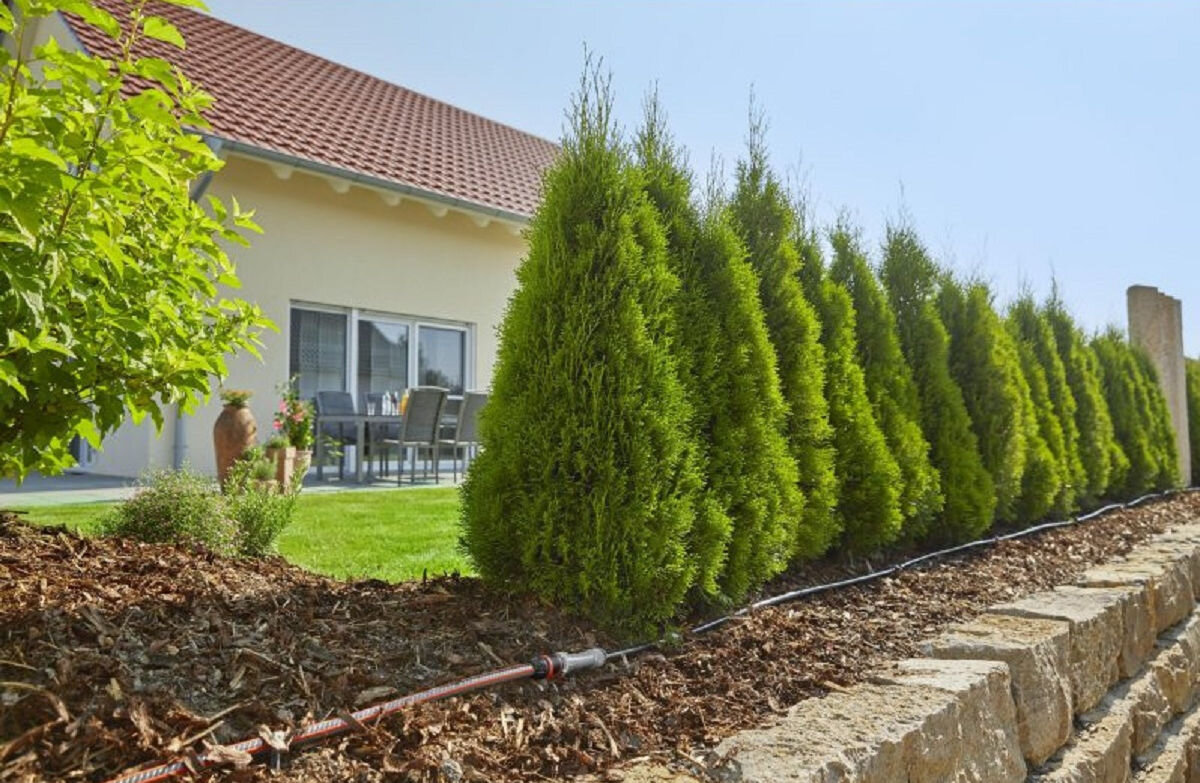 Zestaw do nawadniania GARDENA Micro-Drip-System 13010-29 (15 m), rabaty, grządki, przesuszenie, ochrona, w tle żywopłot wraz z system nawadniania na ziemi pod nimi