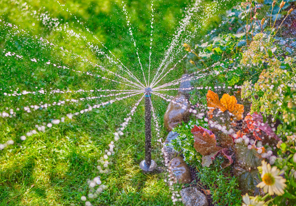 Zraszacz GARDENA MD40 8239-20 trawnik trawa zraszacz podlewa trawnik i kwiaty zraszacz wynurzalny do automatycznego nawadniania średniej wielkości trawników podziemna instalacja równomierne nawodnienie oszczędność czasu i wysiłku