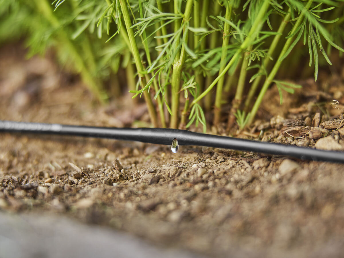 Linia kroplująca GARDENA Micro-Drip-System 1362-29 (15 m), samoczyszczenie, labiryntowe, żywotność, technologia, zbliżenie na linię kroplującą w grządkach