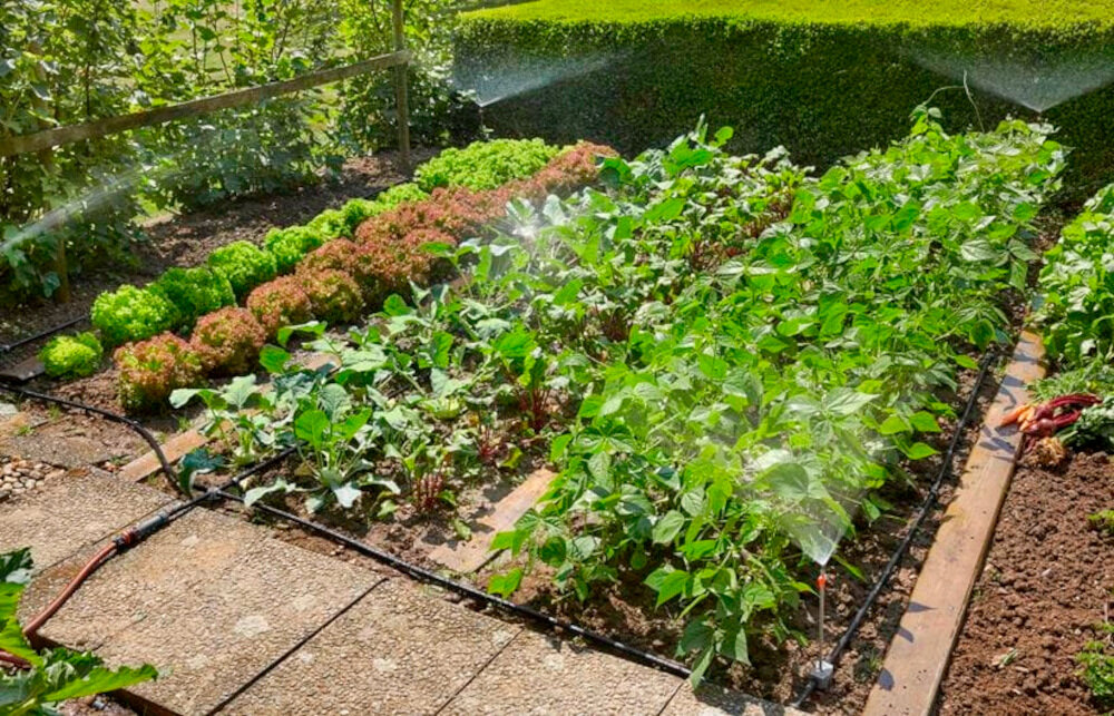 Zestaw do nawadniania roślin GARDENA Micro-Drip-System 13016-20 do nawadniania grządek i rabat możliwość podlewania zwykłych grządek i grządek podwieszonych