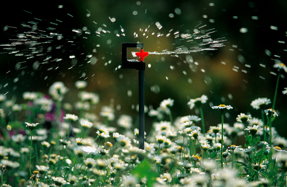 Zraszacz rotacyjny GARDENA Micro-Drip-System 01369-29 2 szt. ogród kwiaty zraszacz rozpryskuje wodę na kwiaty prosta konstrukcja możliwość regulacji strumienia i zasięgu szybko montaż delikatny strumień