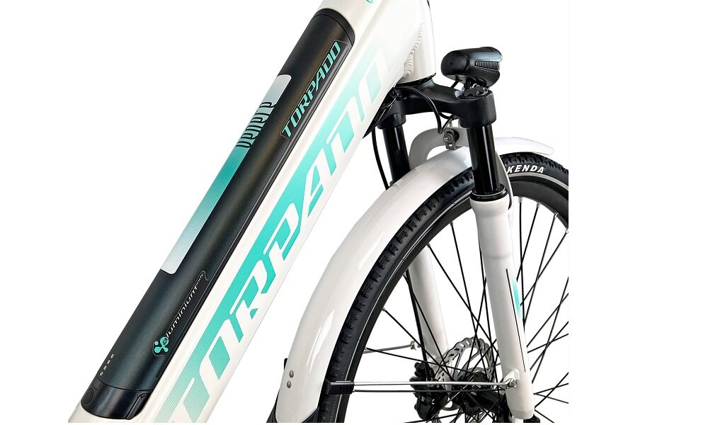 Rower elektryczny TORPADO Eolo M20 28 cali męski Czarny wyglad silnik